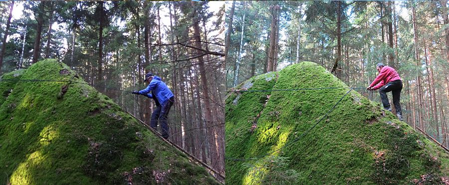 Waldviertel